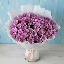 Букет цветов из:  Хризантемы в Тамани