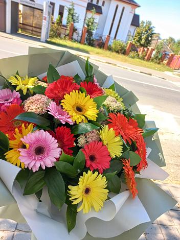 Букет цветов из: Герберы в Тамани